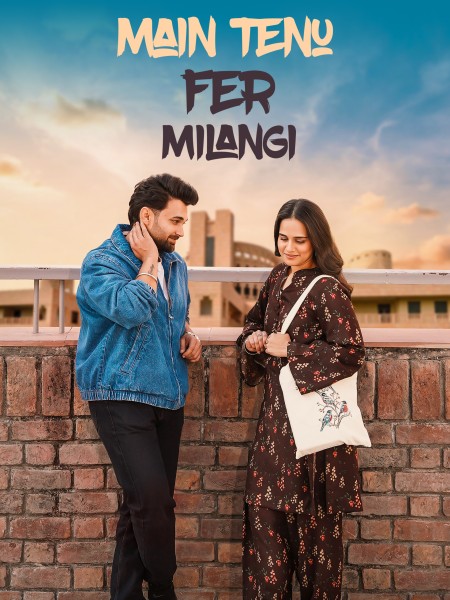Main Tenu Fer Milangi (2025) WEB-DL Punjabi (DD2.0) 4K 1080p 720p & 480p [x264/HEVC] | Full Movie
